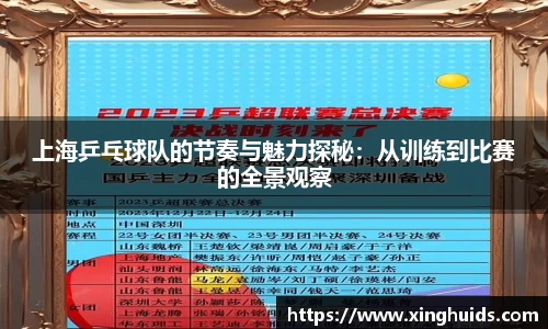上海乒乓球队的节奏与魅力探秘：从训练到比赛的全景观察